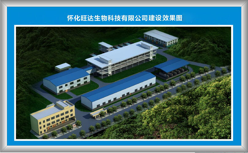 星空在线手机版（大中国区）