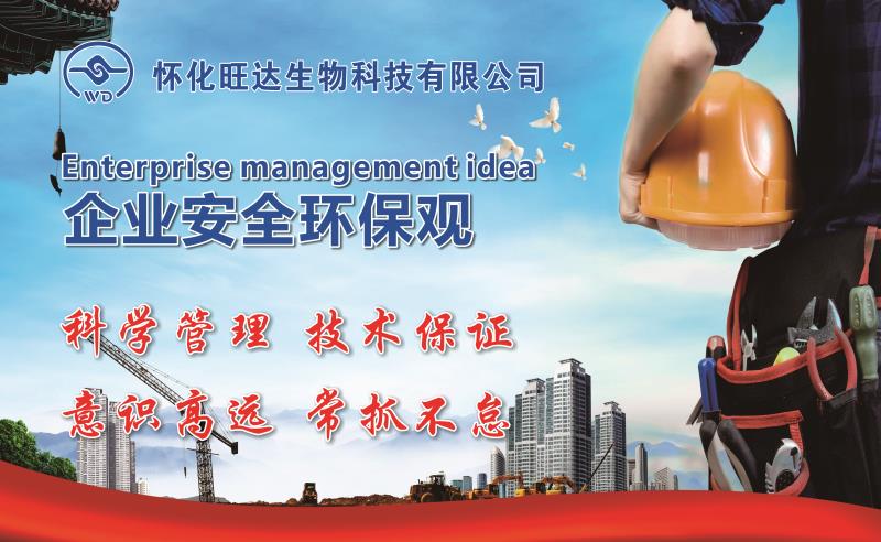 企业文化